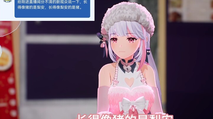 【梨安】给新观众讲一下，长得像猪的是梨安，长得像梨安的是猪