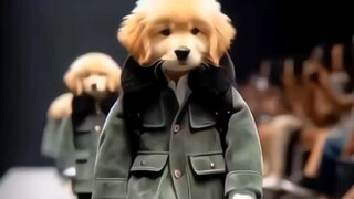 “仅推荐给有趣的人”