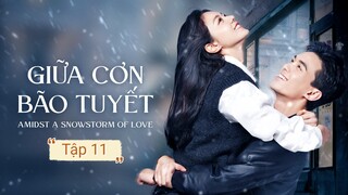 Phim Giữa Cơn Bão Tuyết - Tập 11 | Vietsub