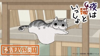 アニメ『夜は猫といっしょ』予告PV【8/3(水)より放送＆配信スタート！】