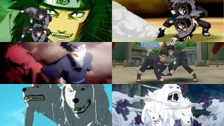 All Kiba Inuzuka Ultimate Jutsus (Ultimate Jutsu Evolution)