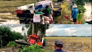 Máy Cắt KUBOTA 105x Cắt Lúa Vụ 3 Máy Kéo Bốc Đầu