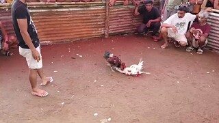 ang ganda ng kakalan ginunlang panalo guyz