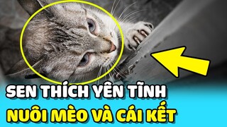 💥Cái kết ĐÁNG THƯƠNG cho Sen vì nghĩ là NUÔI MÈO YÊN TĨNH hơn nuôi chó | TIN GIẢI TRÍ