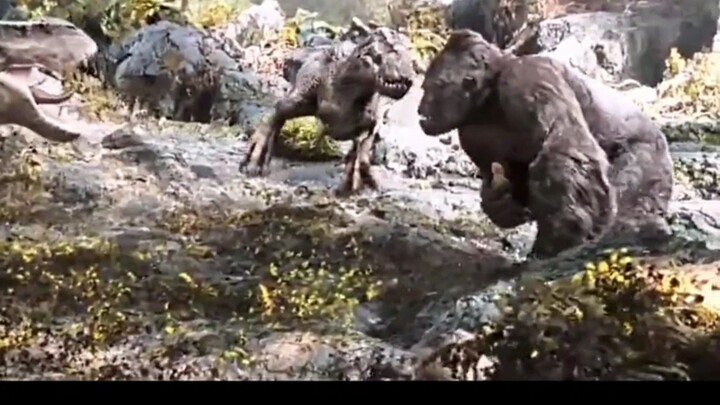 Kinkong Vs T-rex memperebutkan gadis cantik