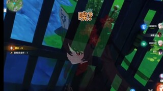哎哎哎！这个笼子咋回事