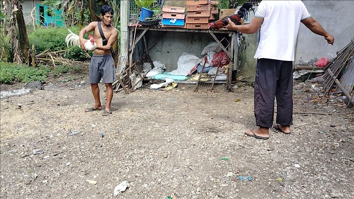 ruble hatch 1st win  sentensyar galing iloilo HAHA