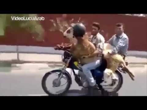 Video Lucu Arab Gila   Sumpah Bikin Ketawa Sampai Nangis DKK