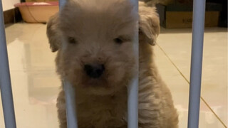 Hahahaha so cute