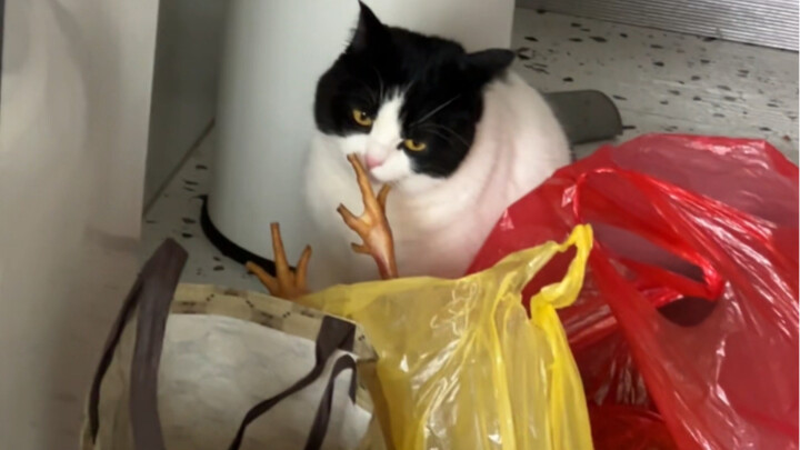 “I’ll sniff it to see if it’s a free-range chicken.”