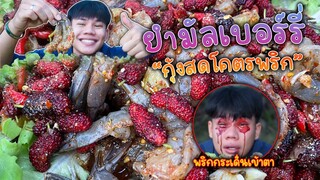 ยำมัลเบอร์รี่กุ้งสดโคตรพริก (พริกเข้าตาโคตรแสบ!!)