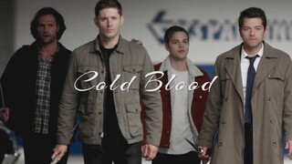 [Supernatural | Check out the location | Everyone is excited] Cold Blood (I’m here to rock the place