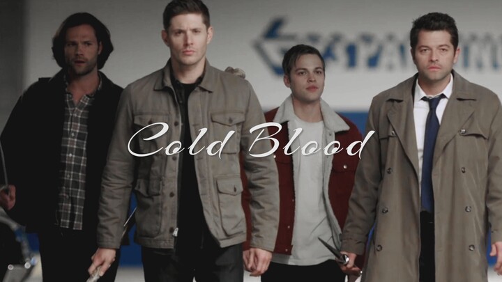 [Supernatural | Check out the location | Everyone is excited] Cold Blood (I’m here to rock the place
