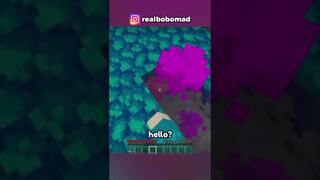 Mencoba Minecraft 1.20 End Update..