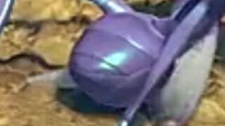 Princess Atta Stomach Growl & Farts (Full Extended Version)