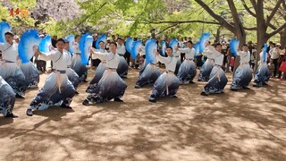 When the Chinese Coast Guard danced on Shangchun Mountain, netizens asked: Can I join in?