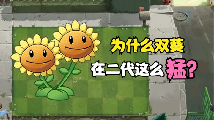 Black Cat Plant Review: Why Is Everyone Switching to Twin Sunflowers in the Late Game?