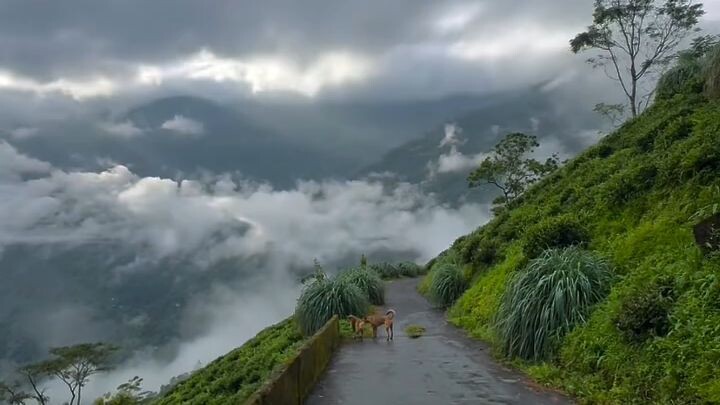 🌿 Kyun Chalti Hai Pawan, Kyun Jhoome Hai Gagan | Beautiful Nature 🌄