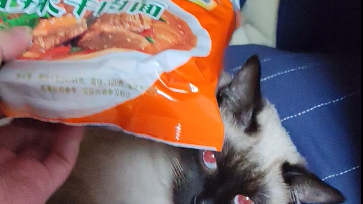Forcing Luo Cat to resist her family of origin