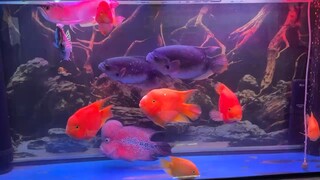 最近很火的一段話:" 當你試著不理一個人的時候，其實你的內心已經受傷很深了。沈默是一個人最大的哭聲，微笑是一個人最大的偽裝。不是只有眼淚才代表悲傷，不吵不鬧才是最後的絕望。”這段看似平靜卻黯然