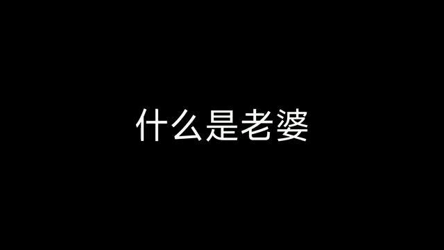 什么是后宫