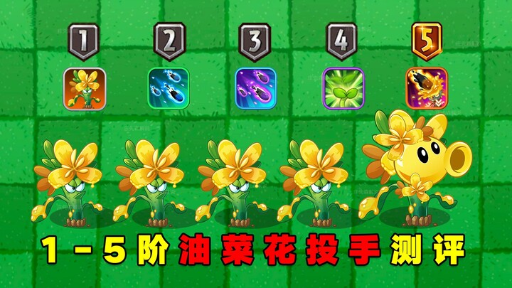 1–5-Star Rapeseed Flower Chomper Review: Can It Become the Fire God of the Plant World?