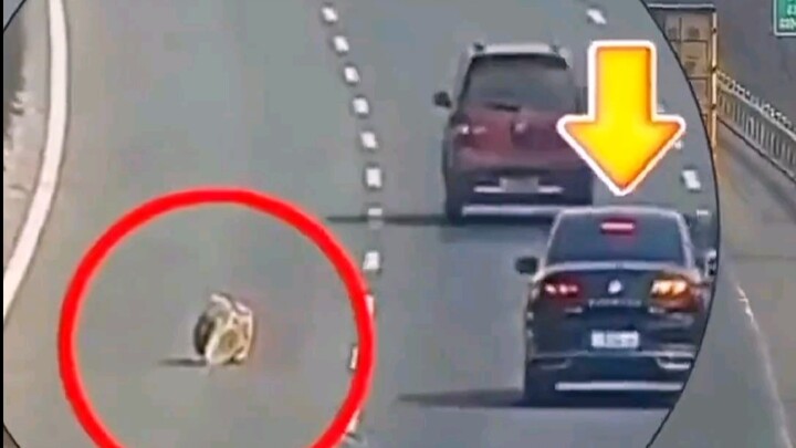 Một hành động giữ chân cả mấy gia đình #lồng tiếng hài hước #video hài hước