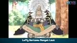 Luffy Bertemu Monyet Laut