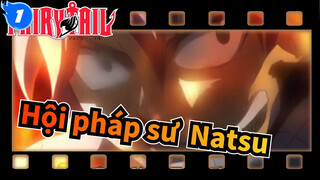 [Hội pháp sư] Ta sẽ chiến đấu vì bạn bè của ta--- Natsu_1