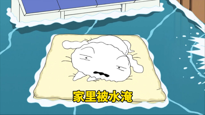 Xiaoxin’s home almost got flooded—Xiaobai saved the family!