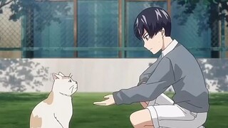 now this  cat never trust anyone 😂😂