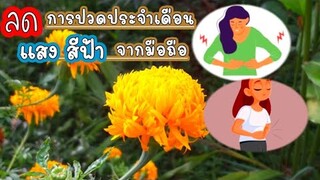 16❗ประโยชน์ ดาวเรือง แก้ผื่นคัน แก้อักเสบริดสีดวงทวาร ป้องแสงยูวี ทำให้อารมณ์ดีmarigold