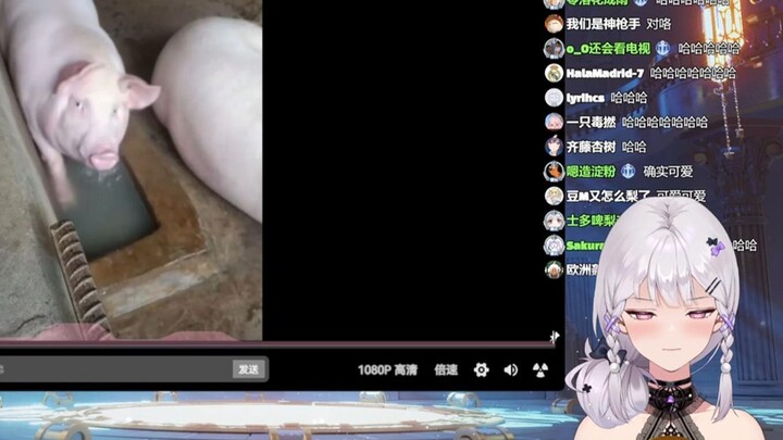 【梨安】这眼神一看就是梨安本猪，一模一样！