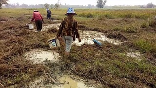 ศิลปินประจำหมู่บ้านหมายเลข007 เซียง กะลอมน้อย