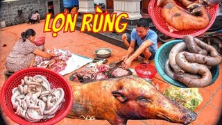 Ẩm Thực Cỗ Quê I Mổ Lợn Rừng Hai Con Chia Phần Ngày Giáp Tết Ở Quê Lúa Thái Bình