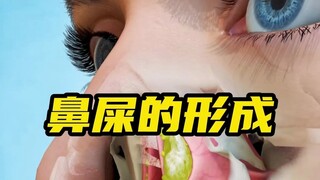 ขี้มูกเกิดขึ้นได้อย่างไร