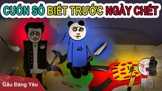 Gấu Đáng Yêu: CUỐN SỔ BIẾT TRƯỚC NGÀY MẤT | Phim gấu hài hước kinh dị