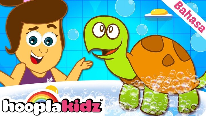 Lagu Penyu | Aku Punya Kura Kura Kecil | Lagu Anak Anak | HooplaKidz Bahasa Indonesia