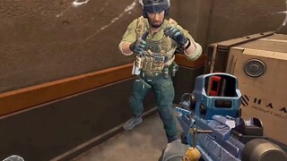 Heckin' Haki Bee, you like stealing food from others, huh?