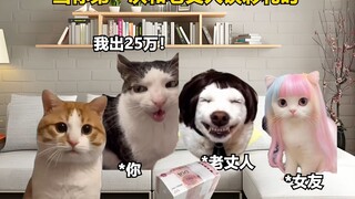 当你第一次去老丈人家谈彩礼时