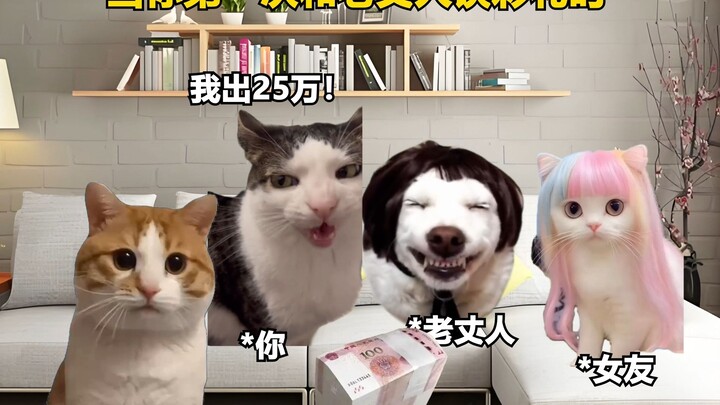当你第一次去老丈人家谈彩礼时