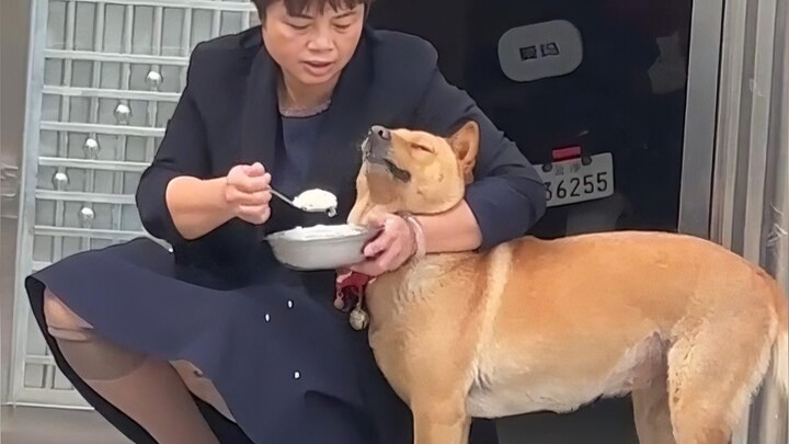 Dog: I don’t understand why some dogs guard their food.
