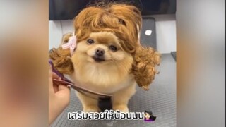 ขนยาวสวยเชียวนะ 555