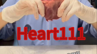 Heart111، لكن النسخة التي تكشف كل الأسرار