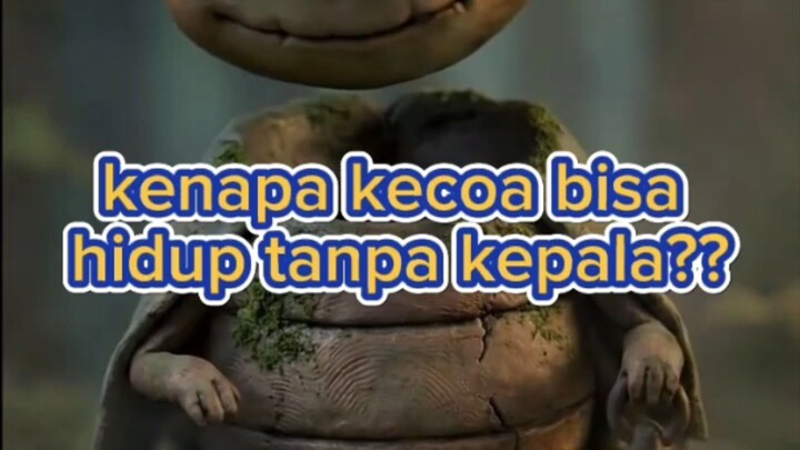fakta menyeramkan kecoa