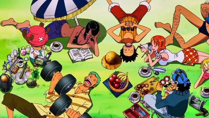 straw hat pirates <3