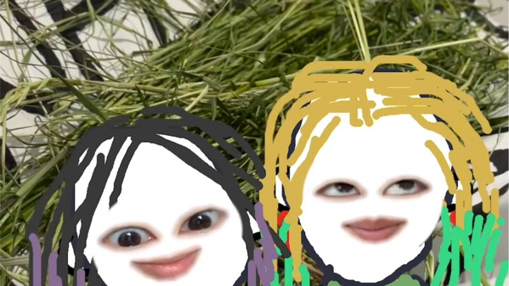 Hai nữ sinh viên bị phong tỏa ở Thượng Hải nuôi thỏ, hết cỏ rồi, thế là…