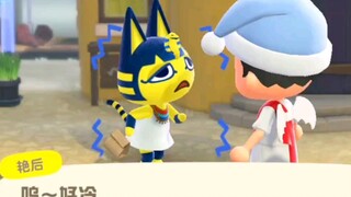 【Animal Crossing】كليوباترا هي قطة تخاف من البرد
