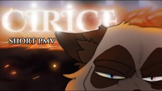 Cirice • Ashfur PMV