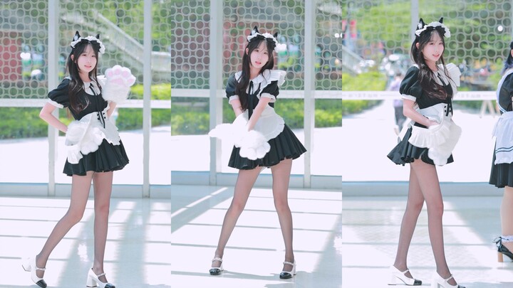 Mèo mèo nữ hầu từ trên trời rơi xuống! | KISSOFLIFE - Bo Peep Bo Peep (cover) | Quay trực tiếp buổi 